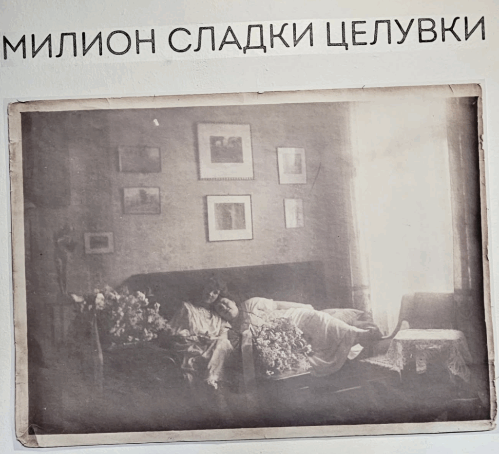 A close up image from the exhibition.